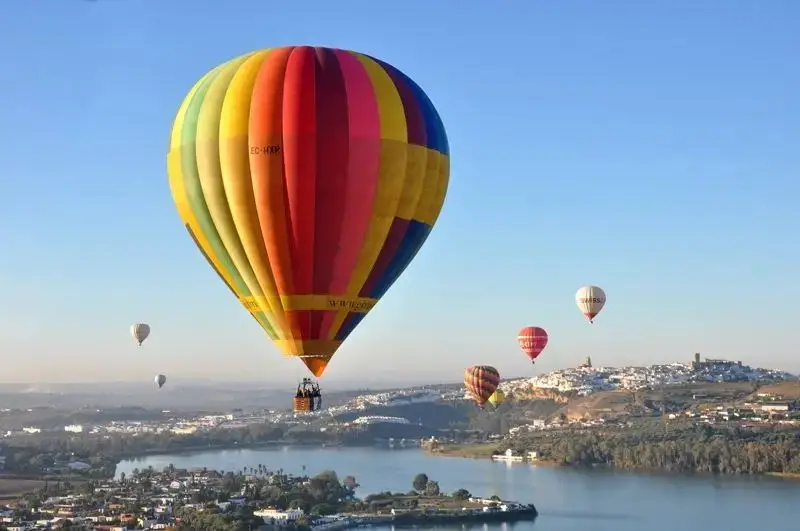 Opciones de Vuelo y Servicios Adicionales